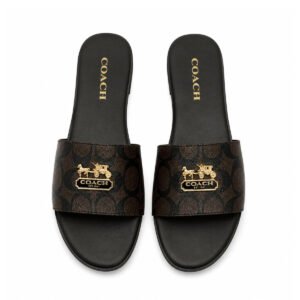 Coach Horse & Carriage Signature Canvas Flat Slides – Dark Brown / Gold - 36/6