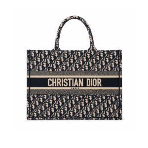Christian Dior Book Tote Bag Blue Beige Dior Oblique