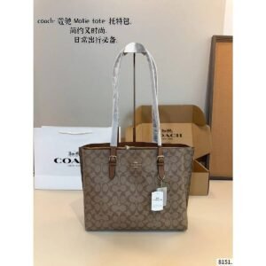 COACH Signature Canvas City Tote Bag - Brown