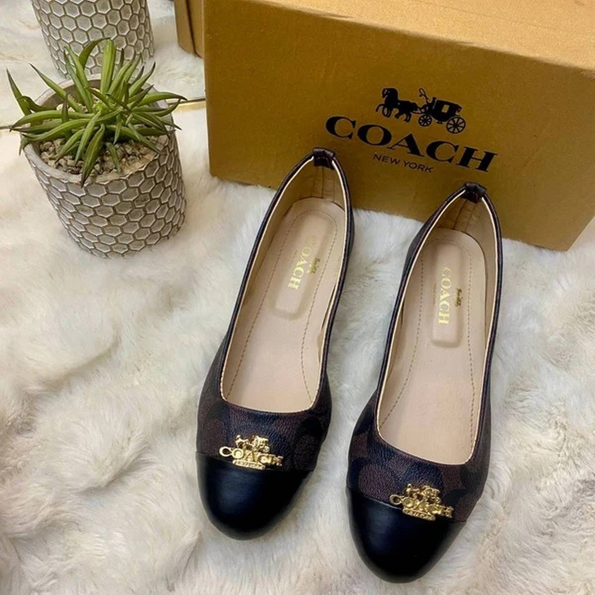 Coach Signature Canvas Cap-Toe Ballet Flats – Dark Brown / Black - Image 2