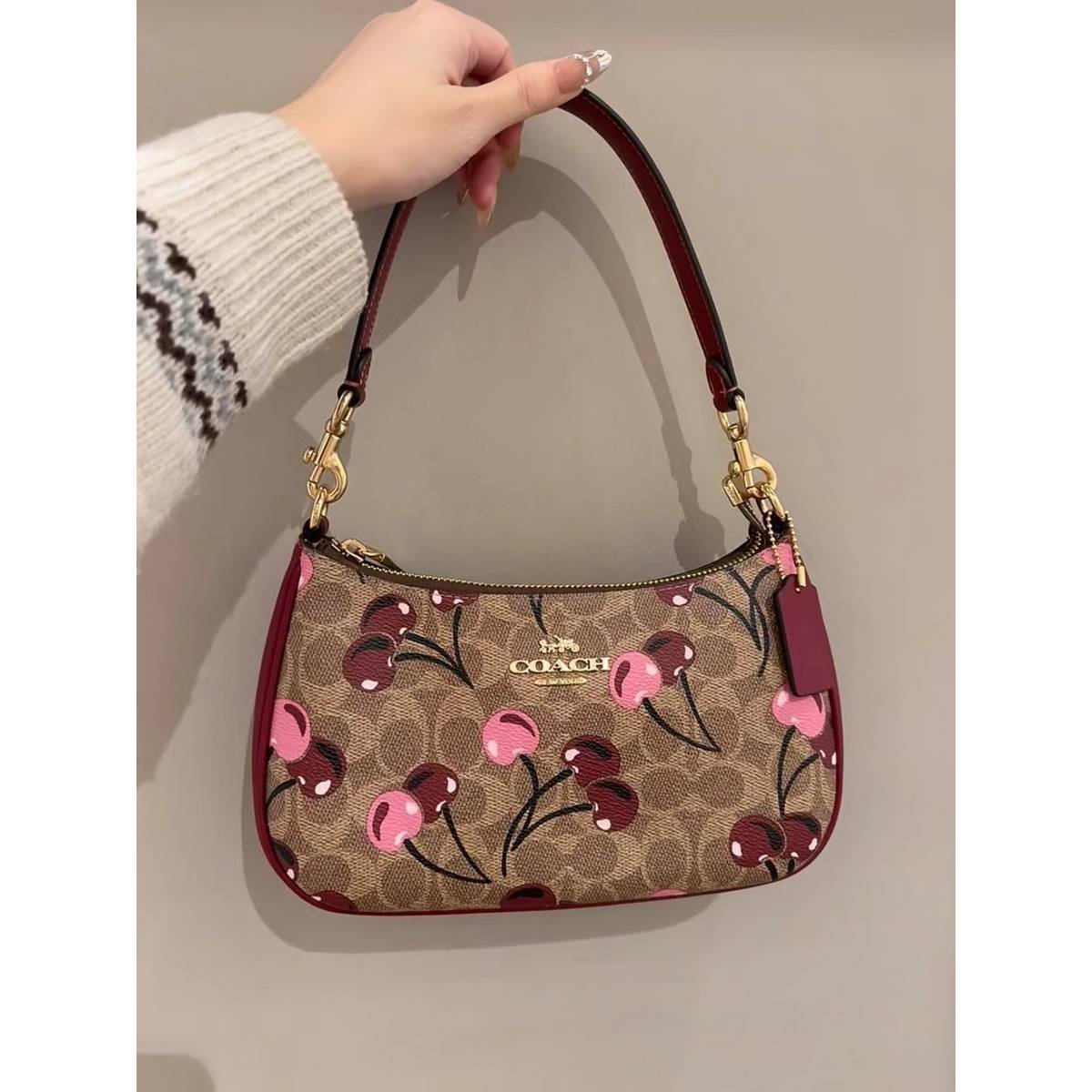 Coach Teri Shoulder Bag in Signature Canvas with Cherry Print – Brown - Image 4